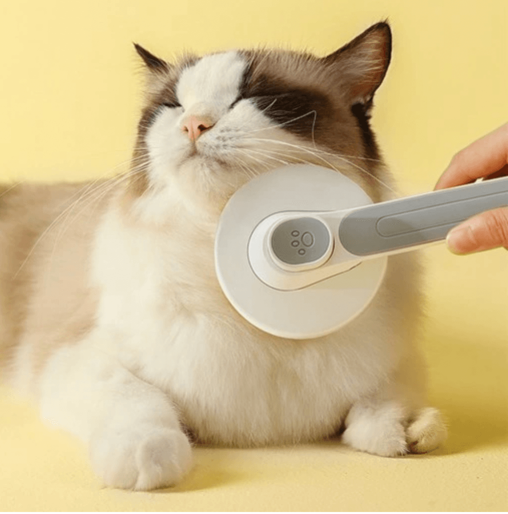 Samoczyszcząca szczotka do sierści HIT